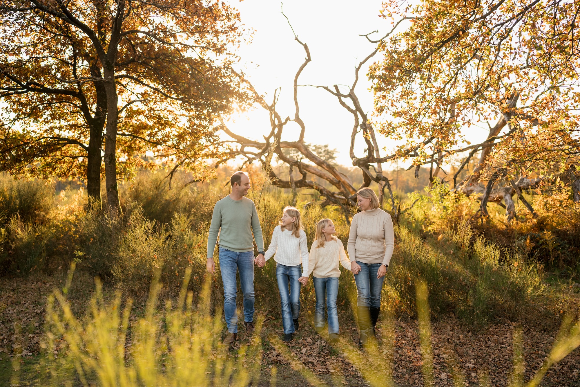 Familienshooting in Köln und Umgebung 1 Eine Familie mit zwei jungen Kindern steht händchenahltend in der Natur. Das goldenen Sonnenlicht strahlt sie von hinten an. - Familienshooting